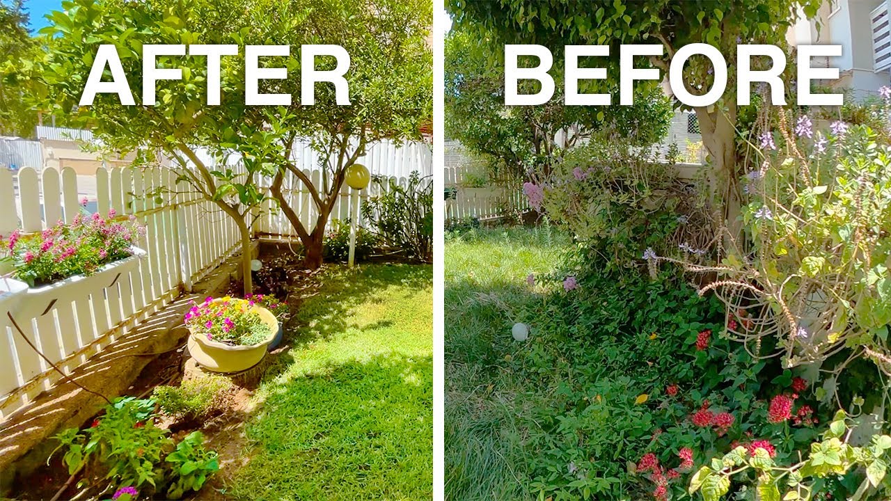 Overgrown lawn before Midgard Mowing service