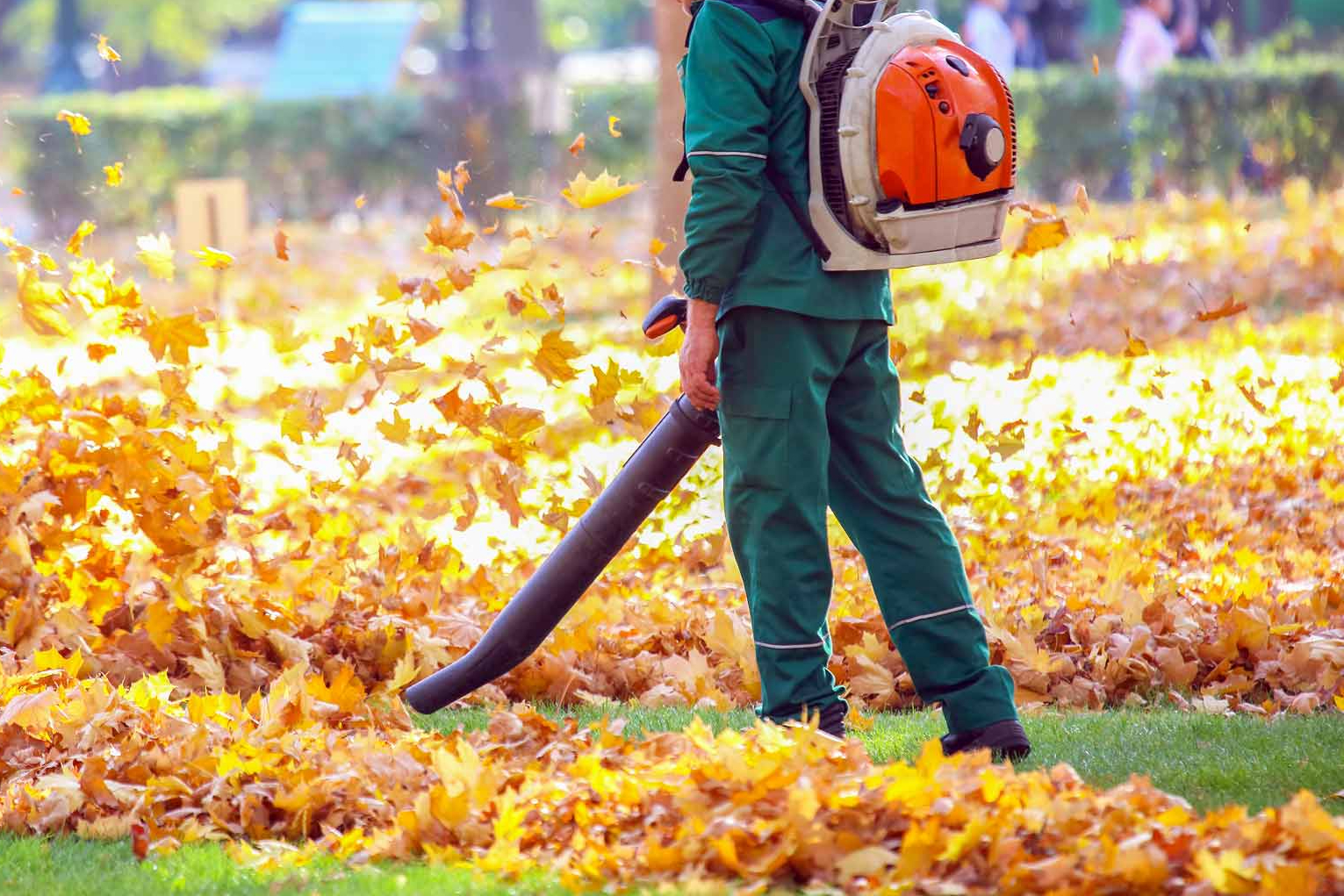 Leaf Clean Up service by Midgard Mowing