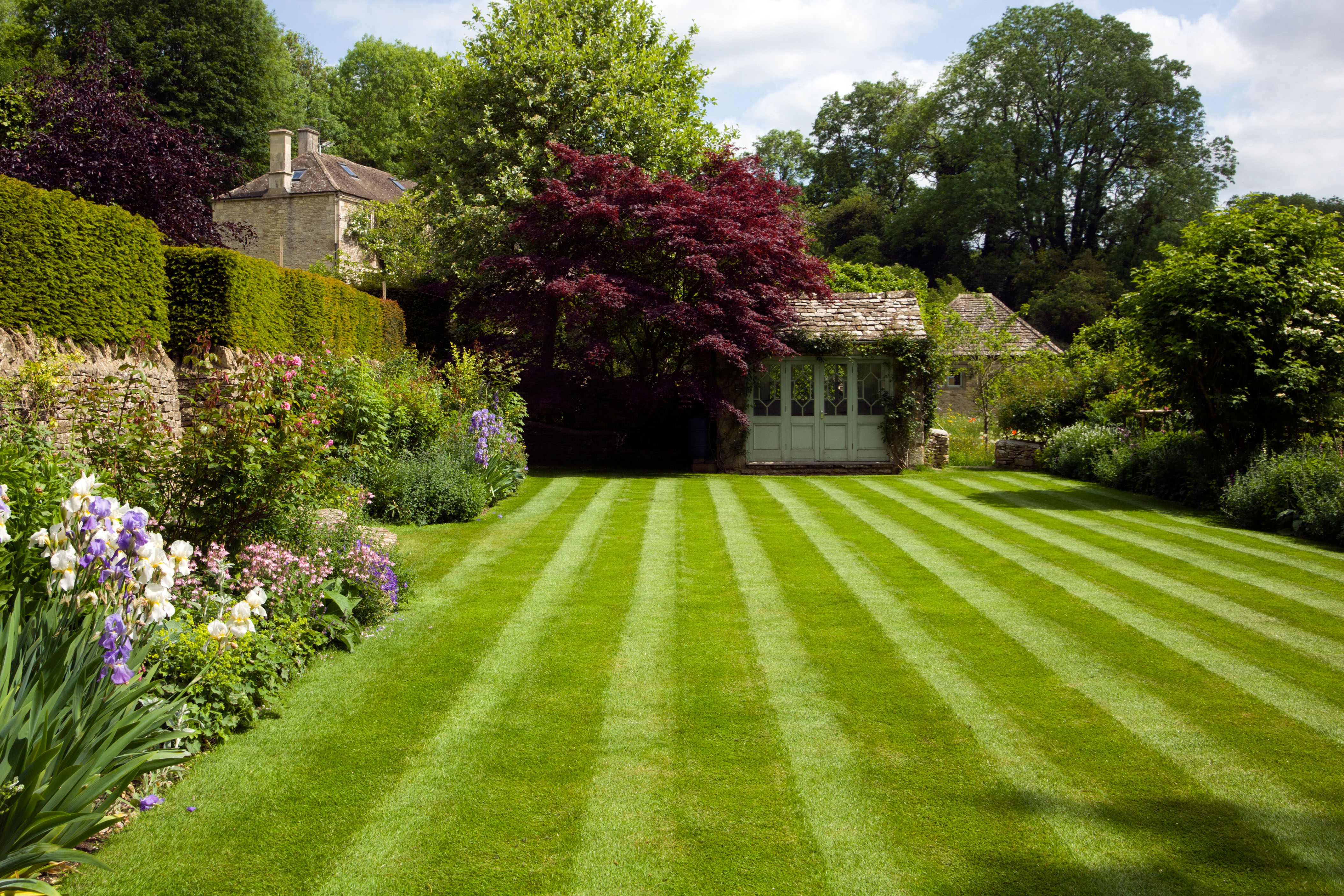 Lawn Mowing service by Midgard Mowing